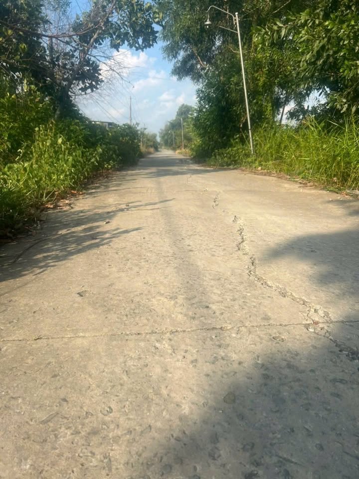 Đất Vườn Củ Chi 11.400m² - Giá Đầu Tư 18 Tỷ - Sổ Hồng Sẵn Sàng