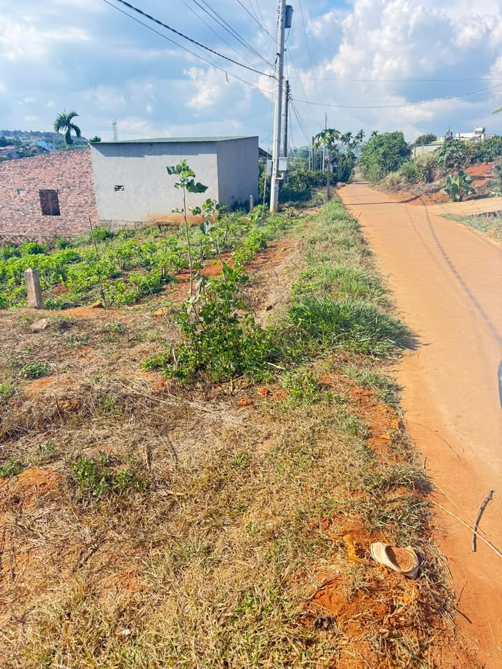 Đất Nền Lâm Hà 830m² Giá 900 Triệu - Gần Chợ Tân Hà