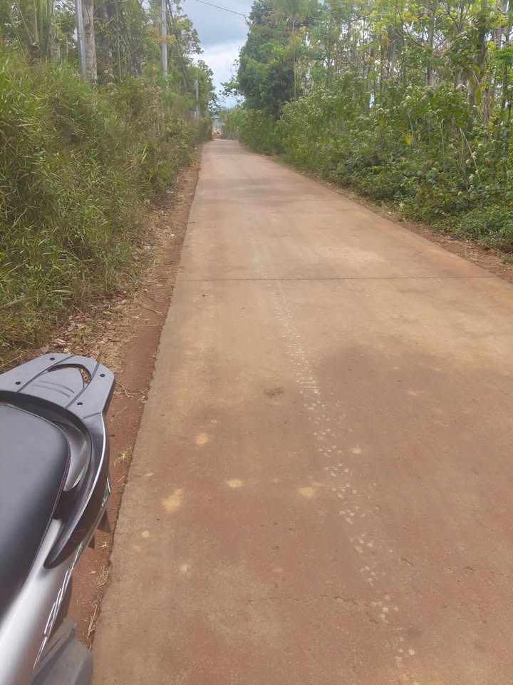 Đất Nền Rộng 1900m² Mặt Đường Bê Tông, Lộc Sơn, Bảo Lộc - Giá Đầu Tư 1.425 Tỷ