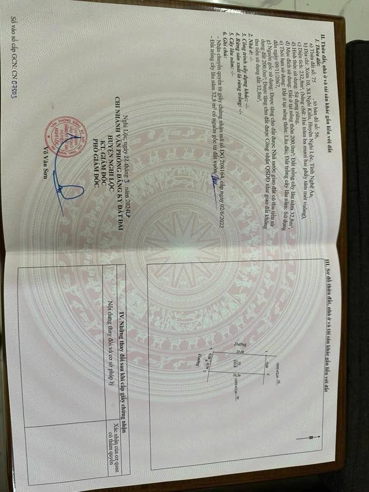 Đất Nền Nghi Kiều 250m² Chỉ 800 Triệu - Tiềm Năng Tăng Giá Vượt Trội!