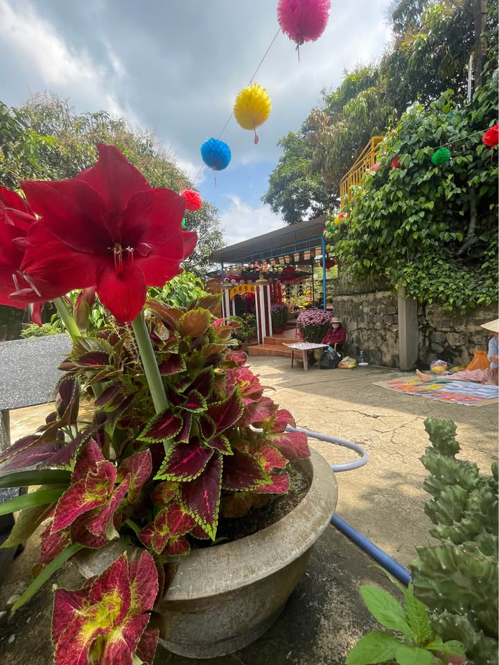 Đất nền Krông Nô, Đắk Nông 360m² - Đường to ô tô, tiềm năng sinh lời!