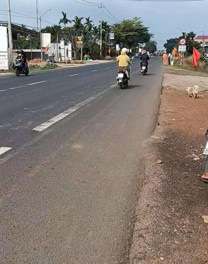 Đất mặt tiền QL14A Krông Nô 300m² - Kinh doanh ngay, giá 1.5 tỷ