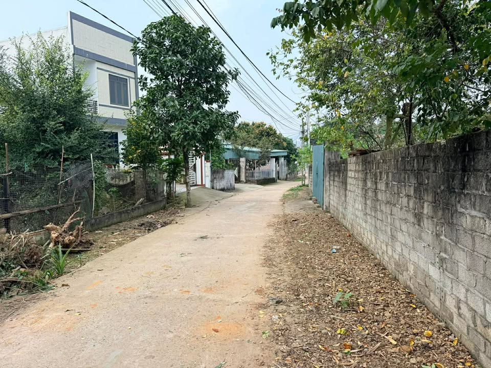 Bán đất 186m² Hoàng Xá, Phú Thọ - Mặt tiền rộng, ô tô tránh