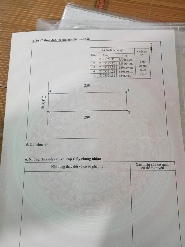Đất thổ cư 125m² Hướng Đạo, Tam Dương - Mặt tiền 6m vuông vắn
