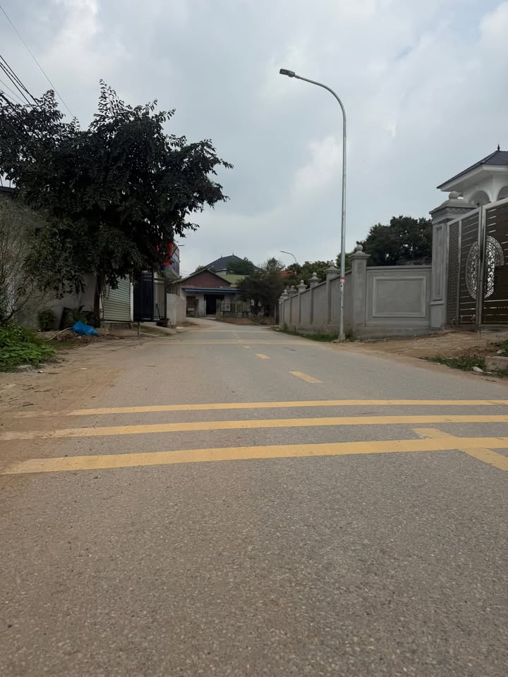 Đất nền Tam Dương 169m² - Đường ô tô rộng, tiềm năng sinh lời!