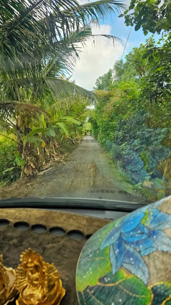 Đất Vườn Nhi Thành 400m² - Giá Tốt 250 Triệu - Sổ Hồng Sẵn Sàng