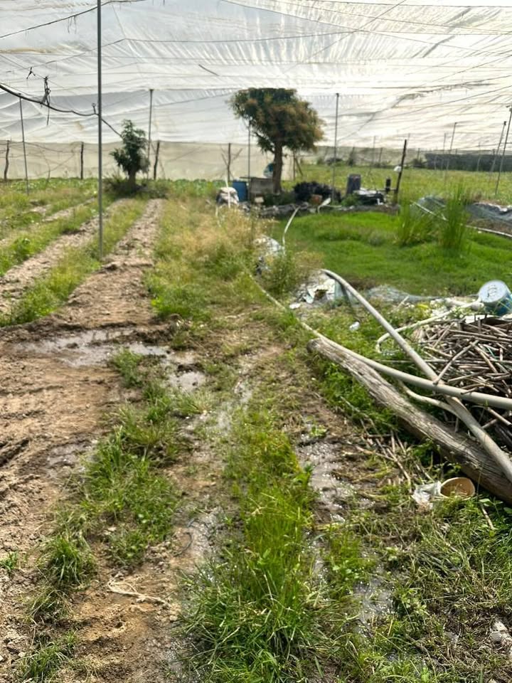 Bán đất 1260m² mặt tiền đường bê tông, xã Dran, Đơn Dương - Sẵn sàng sản xuất