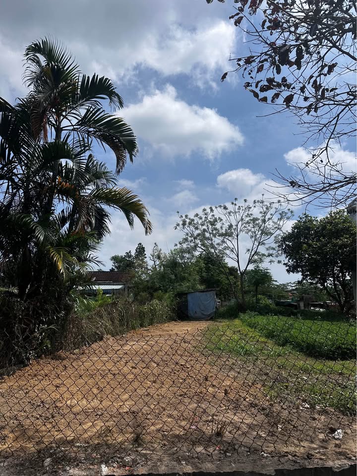 Đất Nền Dự án Sala, Điện Bàn 125m² - Giá 1.5 Tỷ, Sổ Đỏ Sẵn