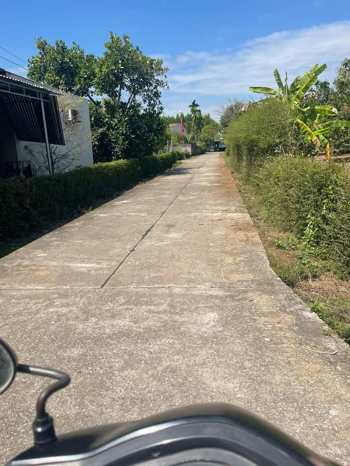 Đất Mặt Tiền Đường Thông Thoáng - 300m² - 370 Triệu - Tánh Linh, Bình Thuận