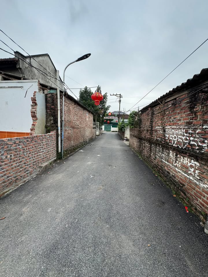 Đất Nền Việt Trì 122.5m²/lô - Đường To Ô Tô, Thổ Cư 100%