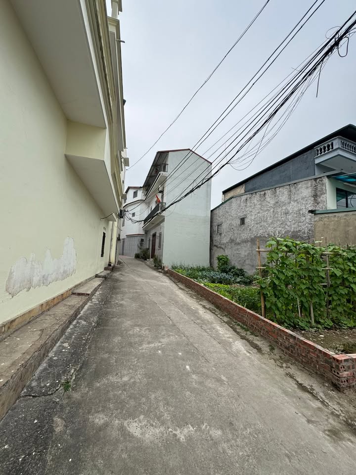 Bán Đất Phố Gò Mun, Việt Trì 70m² - Lô Góc Kinh Doanh, Giá 3.2 Tỷ