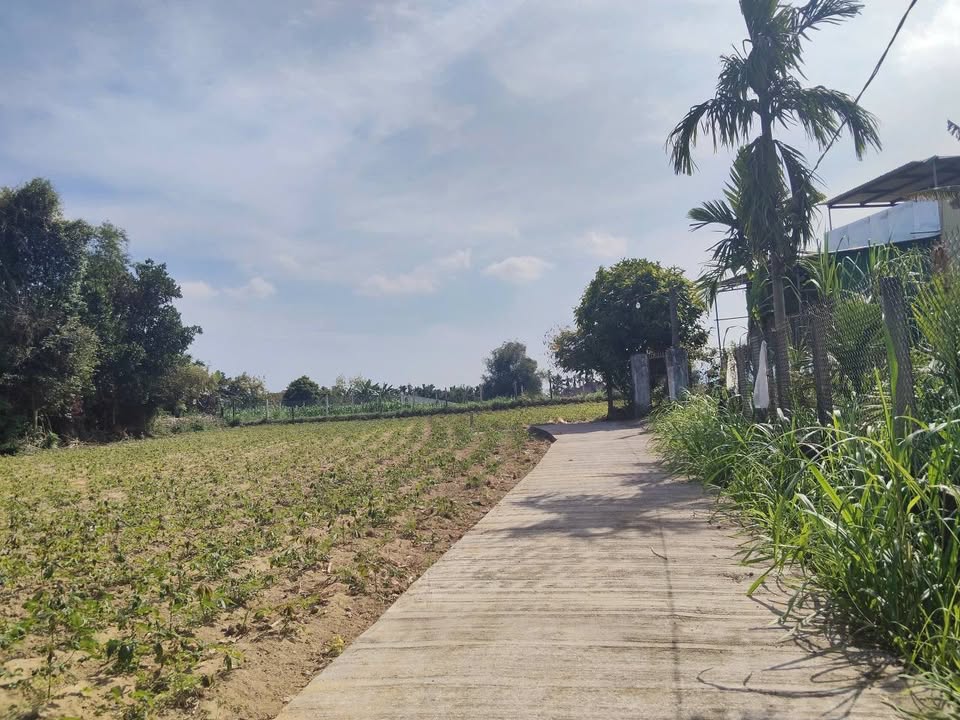 Đất Nền Tịnh Ấn Tây, Quảng Ngãi - 125m² Giá 490 Triệu, Oto Tới Đất