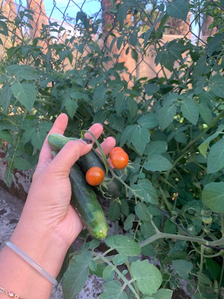 Đất 3600m² 2 Mặt Tiền TT Ea Kar - 9xx Triệu/Lô