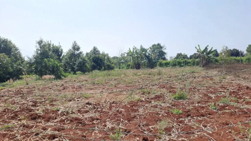 Đất Nền Hướng Bắc 480m² Buôn Tơng Sinh, Ea Kar - Đầu tư sinh lời