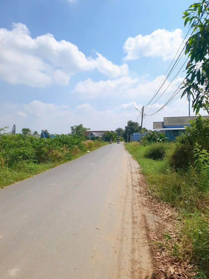 Mặt Tiền Nhựa Út An Đức Hòa 115m² - Giá Tốt 1.38 Tỷ