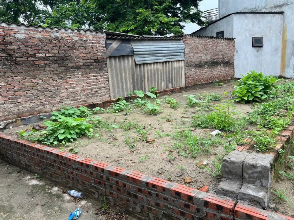 Đất nền Đông Anh 52m² - Sổ đỏ chính chủ, tiềm năng sinh lời!