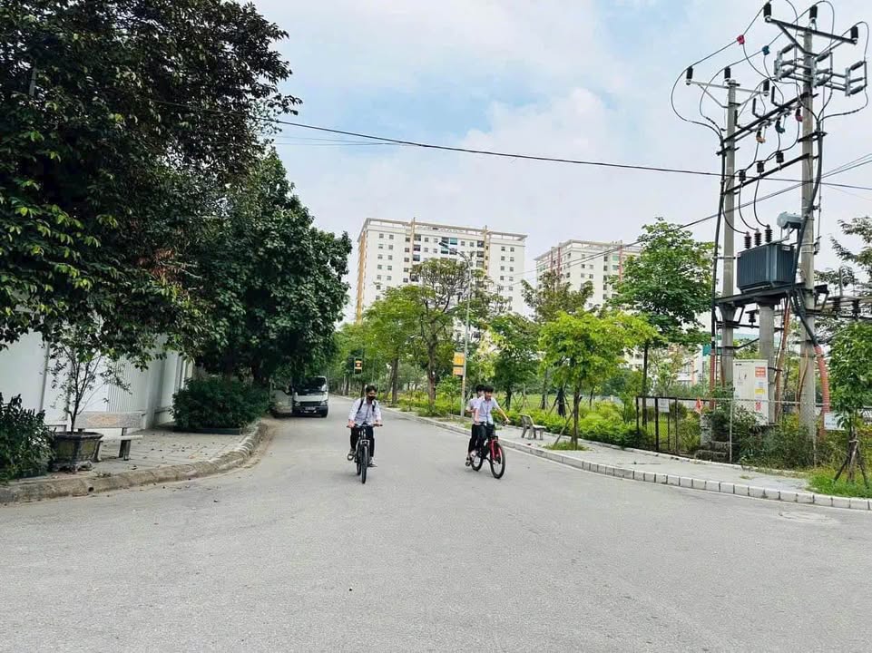 Bán đất Trục xương cá Bắc Từ Sơn 100m² - Sổ đỏ sẵn sàng