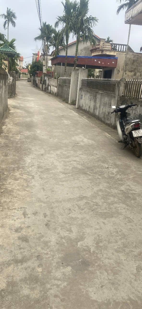 Đất nền Tiên Lãng 130m² - Ngõ ô tô, xây dựng tự do!