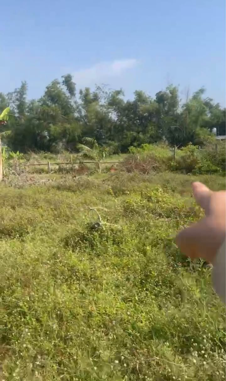 Bán đất thổ cư Phù Cát, Bình Định - 119m², gần Nguyễn Chí Thanh, giá 3xx triệu