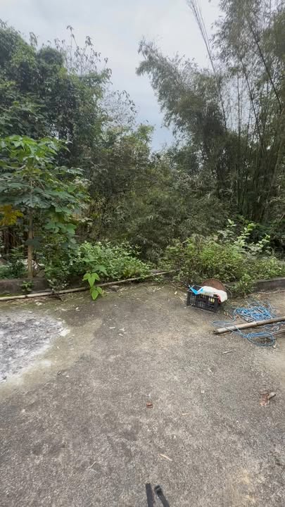 Đất Thị trấn Lương Sơn 110m² - Sổ Đỏ Rõ Ràng - Giá Tốt Nhất