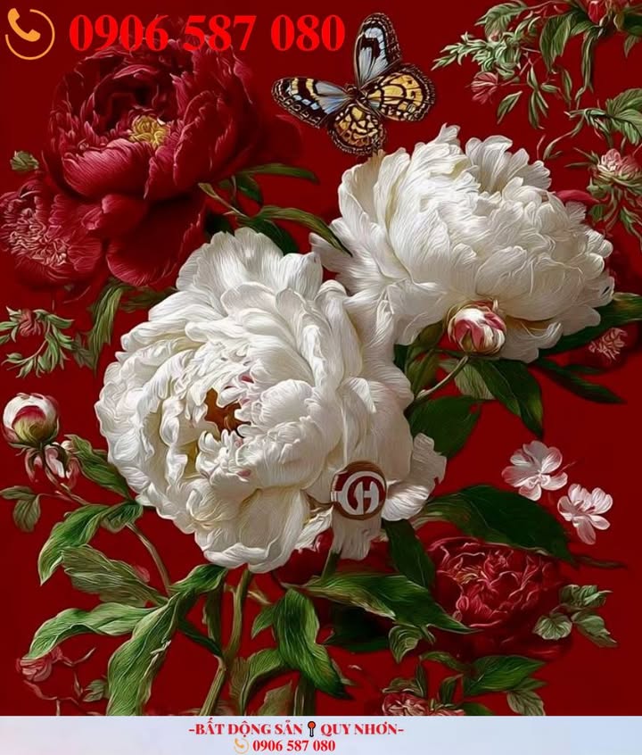 Nhà Mặt Tiền Kinh Doanh Phan Đình Phùng, Quy Nhơn - 62m², Ngay Ngã 4