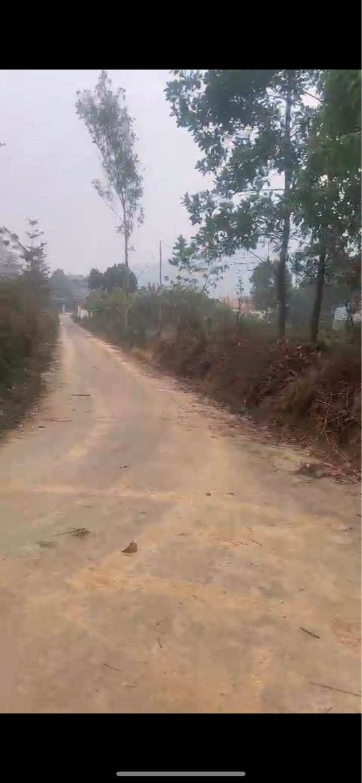 Đất nền Phổ Yên, Thái Nguyên 8000m² - Sổ đỏ, giá F0 chỉ 4 tỷ