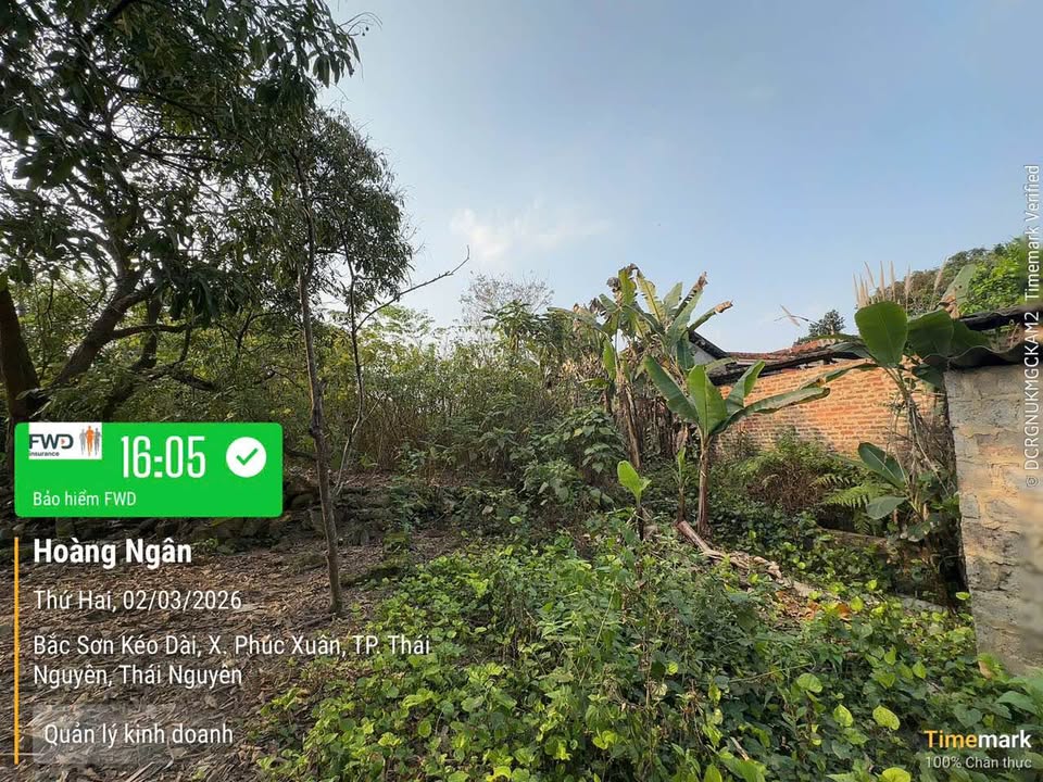 Đất nền Phúc Xuân, Thái Nguyên 360m² - Sổ đỏ chính chủ, bán gấp!