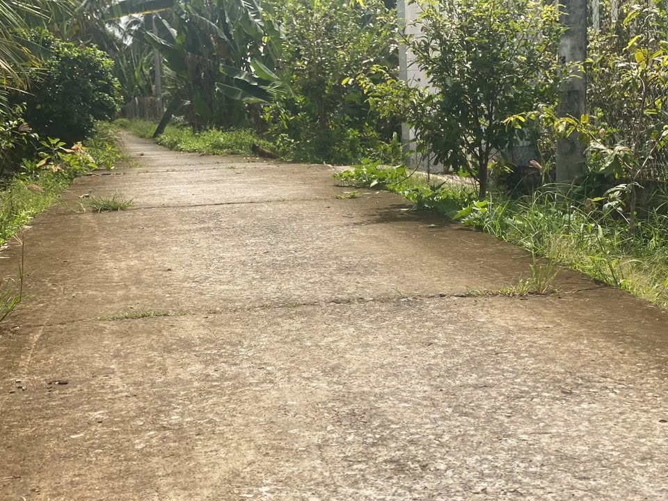 Đất nền Xã Phú Quới 300m² view sông, xây dựng tự do