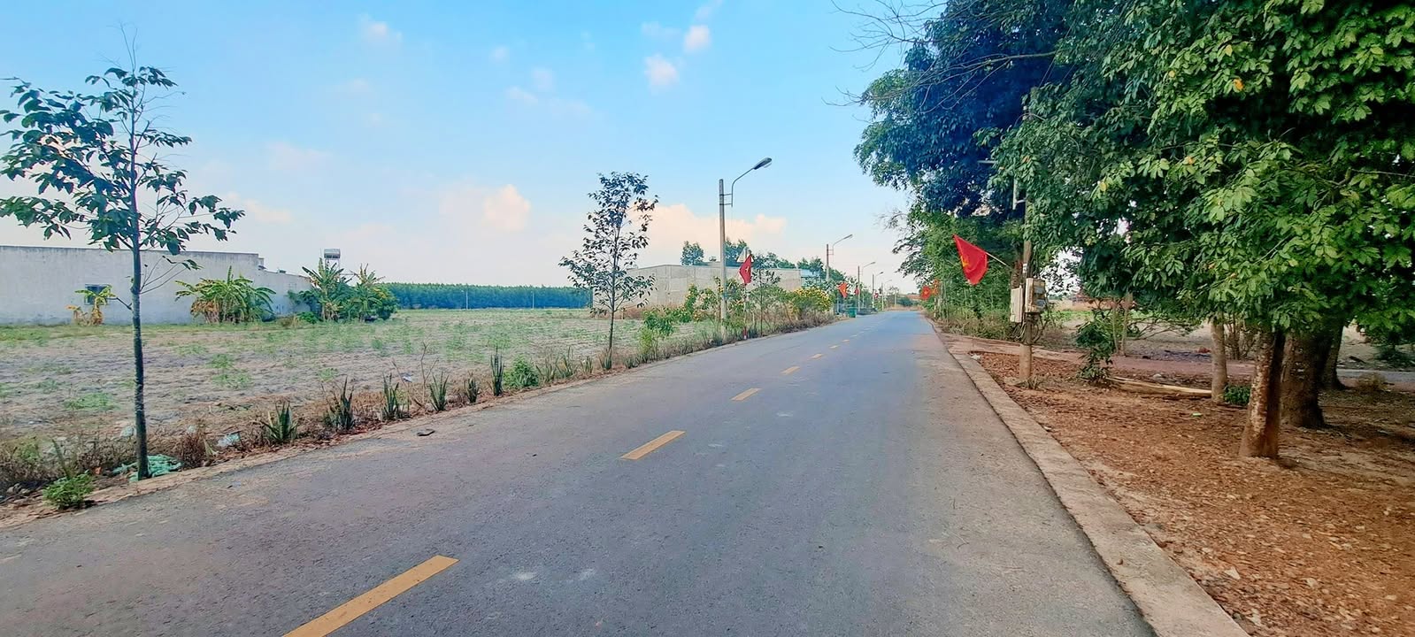 Đất nền 210m² Phường 8, Quận 6 - Giá 8xx Tỷ, Sổ Hồng Sẵn Sàng