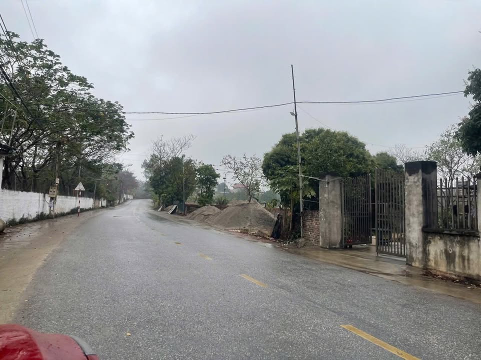 Đất nền Tam Dương Vĩnh Phúc 100m² - Sổ hồng chính chủ, đường ô tô tránh!