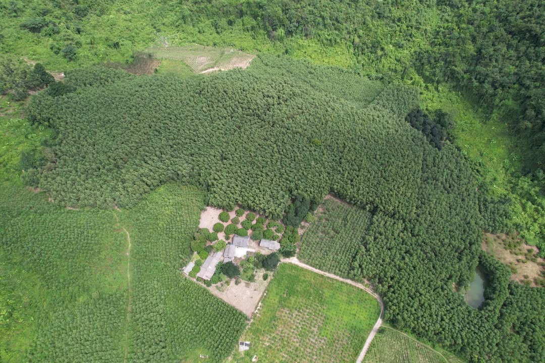 Đất Vườn 2.7ha Xã Quảng Chu, Chợ Mới - Tiềm Năng Homestay & Trang Trại