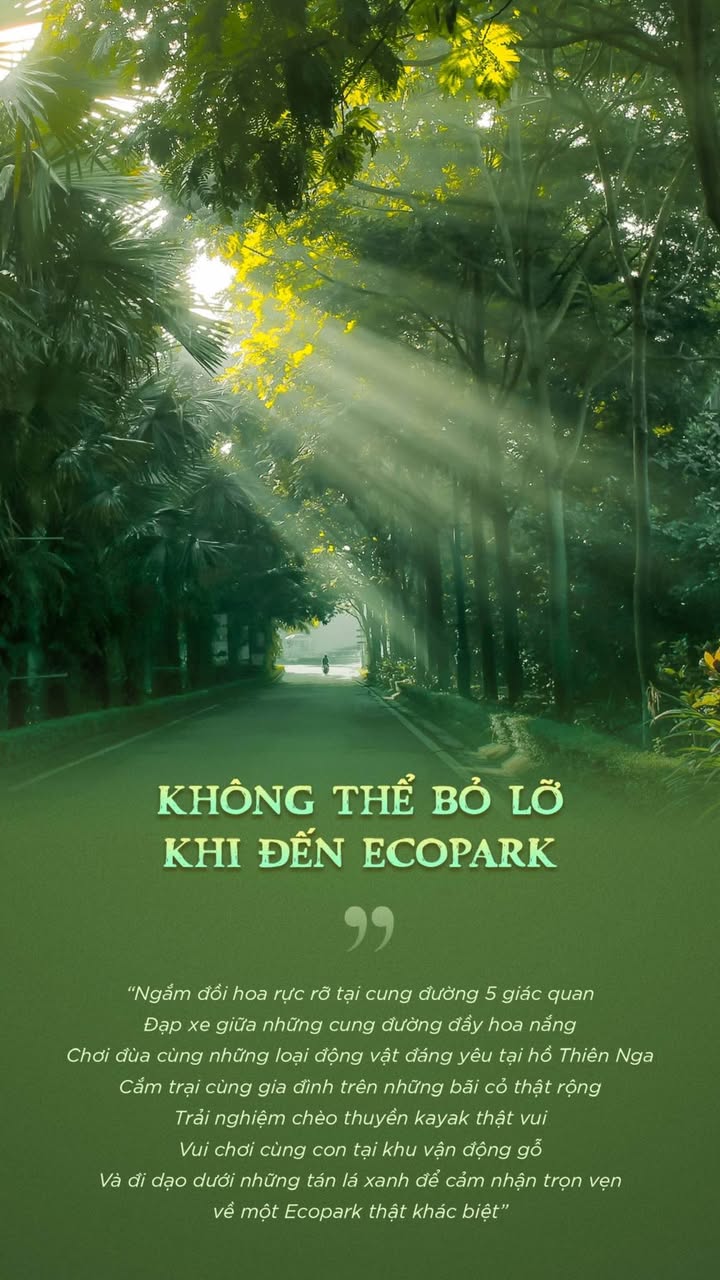 Liền kề Đại lộ Âu Cơ TP Vinh 99m² - Vị trí đắc địa, kinh doanh sầm uất!