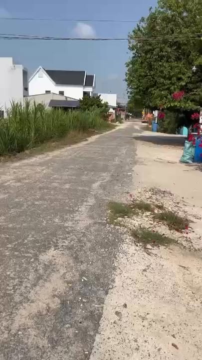 Nhà Cấp 4 Gò Dầu, Tây Ninh 2250m² - Sổ Đỏ Sẵn Sàng