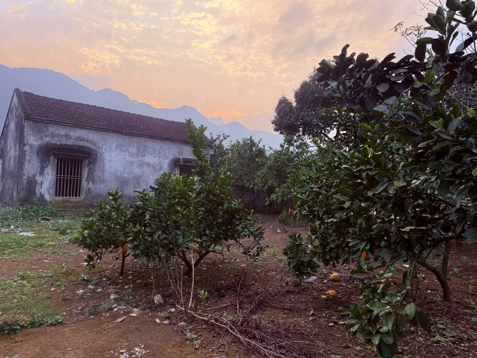 Đất nền Yên Thủy, Hòa Bình 609m² – Sổ đỏ chính chủ, tiềm năng sinh lời!