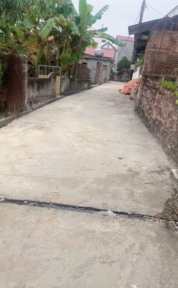 Đất nền Hòa Phú 300m² Yên Phong - Sổ đỏ chính chủ!