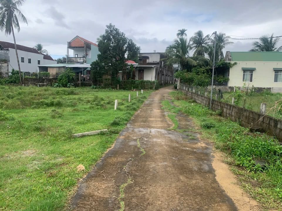 Đất nền Bồng Sơn 90m² Sổ hồng chính chủ - Giá tốt đầu tư