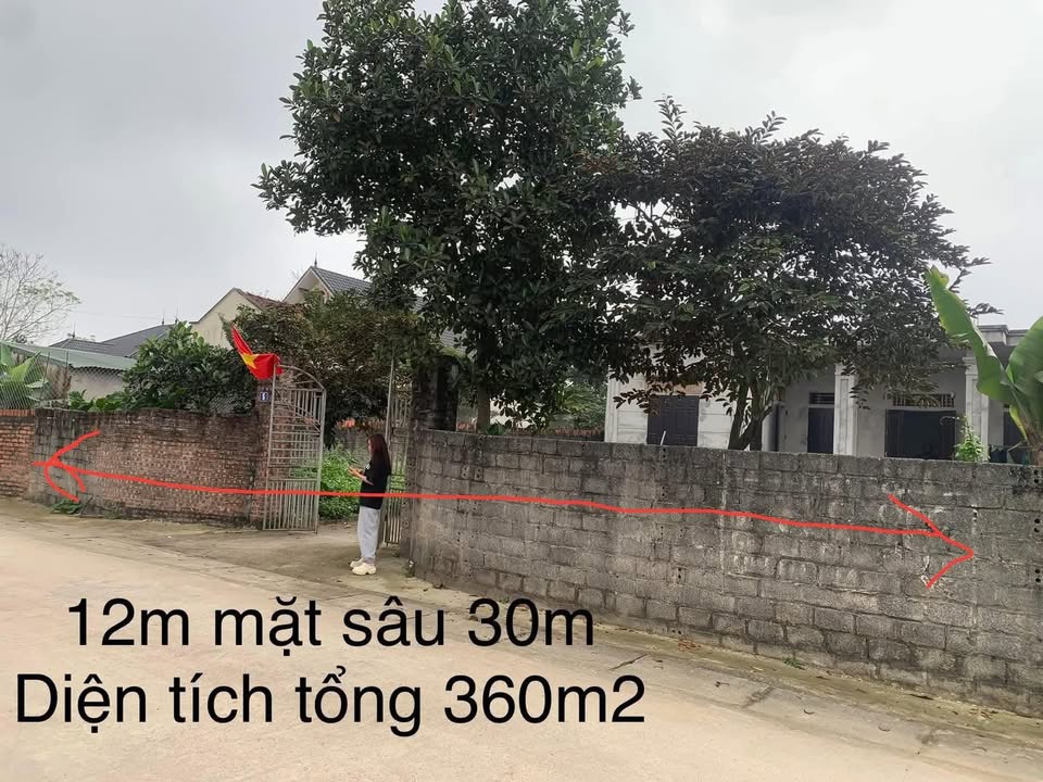 Bán Gấp Đất Vàng Ba Vì 360m² - Sổ Đỏ Chính Chủ, Tiềm Năng Sinh Lời Cao