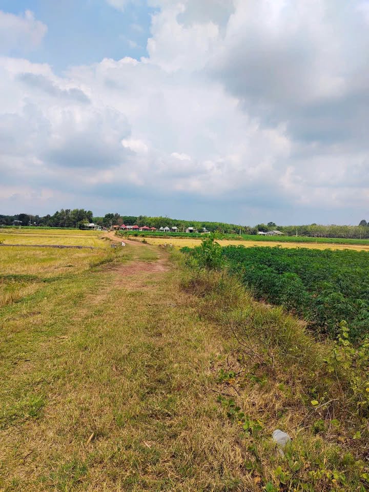 Đất nền 1000m² Bến Cầu, Tây Ninh giá 760 triệu - Sổ đỏ chính chủ