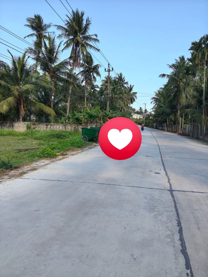 Bán Đất Lô Góc Mặt Tiền Phạm Hùng, Hoài Nhơn - Sổ Đỏ 162m²