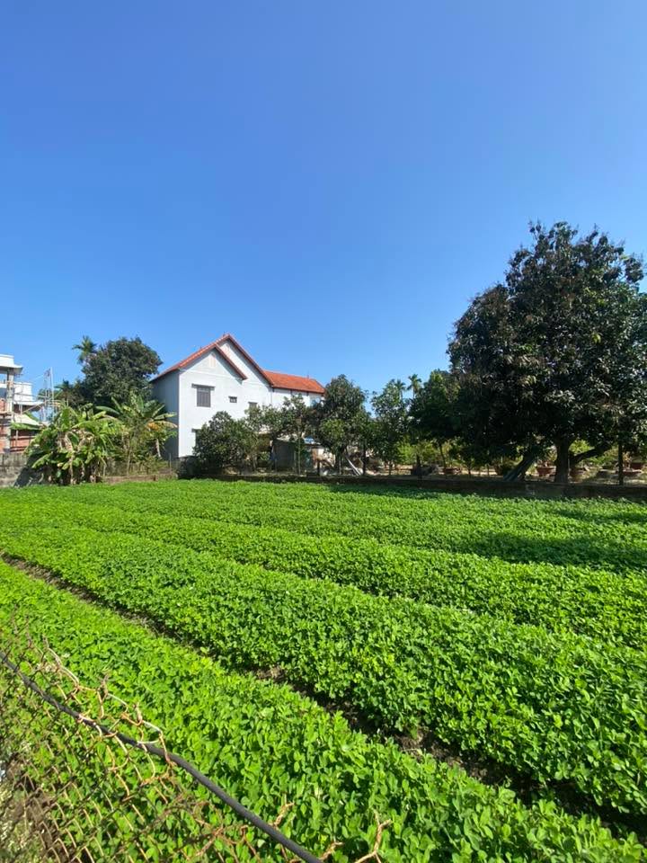 Nhà 178m² Phạm Như Xương, Đà Nẵng - 2 Mặt Kiệt, Ô Tô Đậu Sân, Giá 2.99 Tỷ