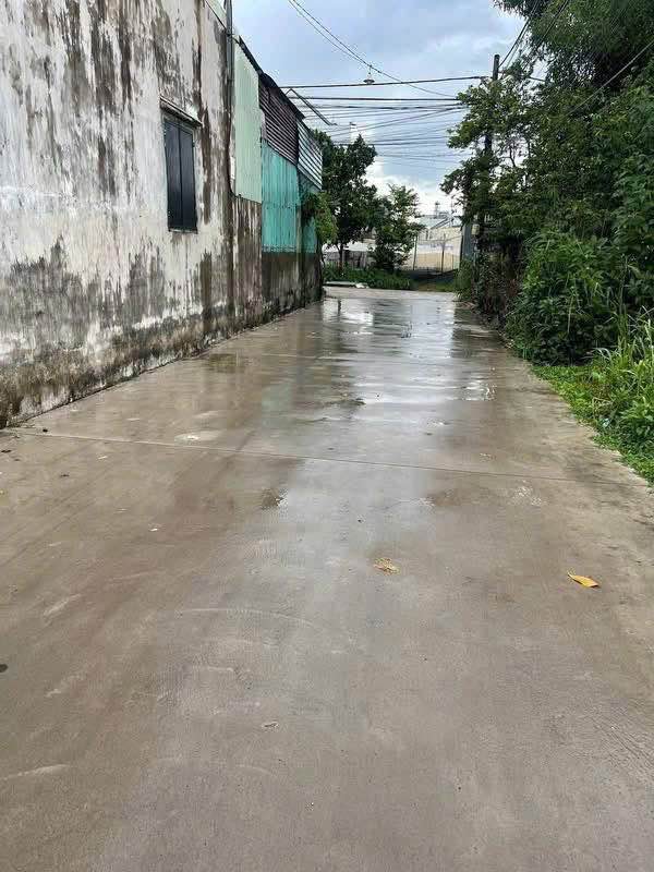 Đất Trảng Bom Đồng Nai 115m² - Giá 550 Triệu Chính Chủ