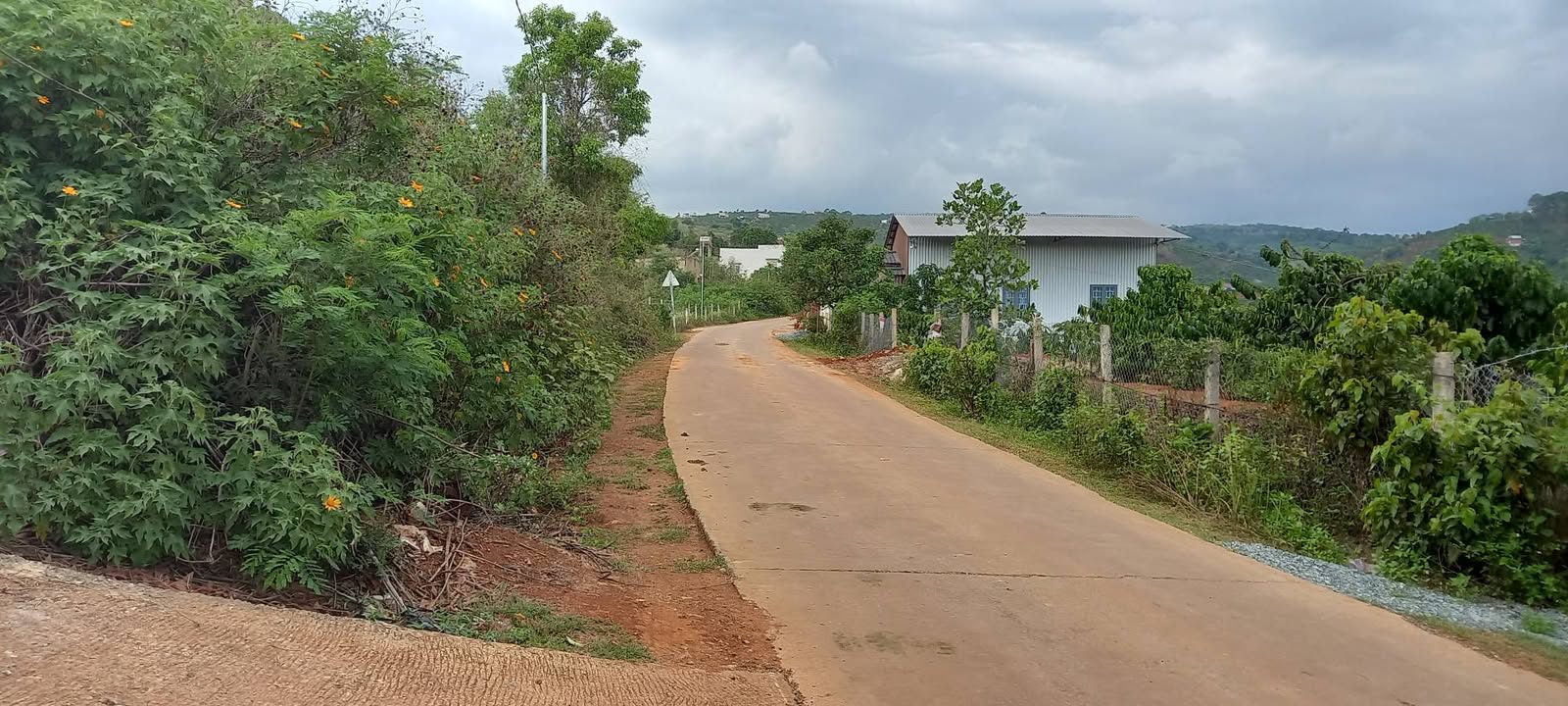 Đất Nền Lâm Đồng 4779m² - Giá 2.9 Tỷ, Sẵn Sàng Làm Farm/Nghỉ Dưỡng