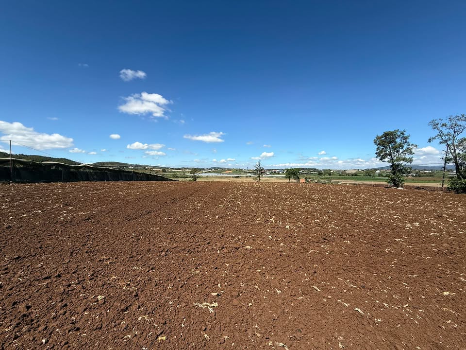 Bán Đất Sào Ka Đơn, Đơn Dương - 5800m² Giá Tốt Đầu Năm