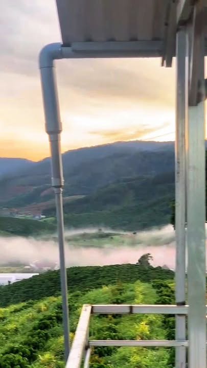 Đất vườn Đạ K' Nàng 10.000m² - View thiên nhiên hùng vĩ!