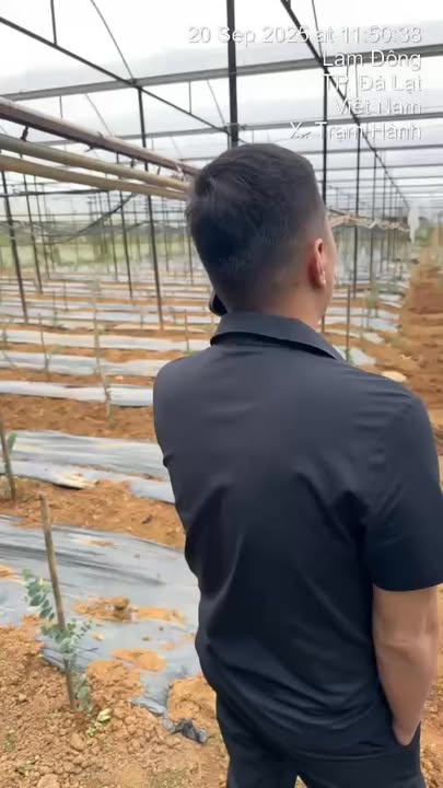 Đất Vườn Xuân Trường Đà Lạt 6.636m² - Nghỉ Dưỡng Lý Tưởng!