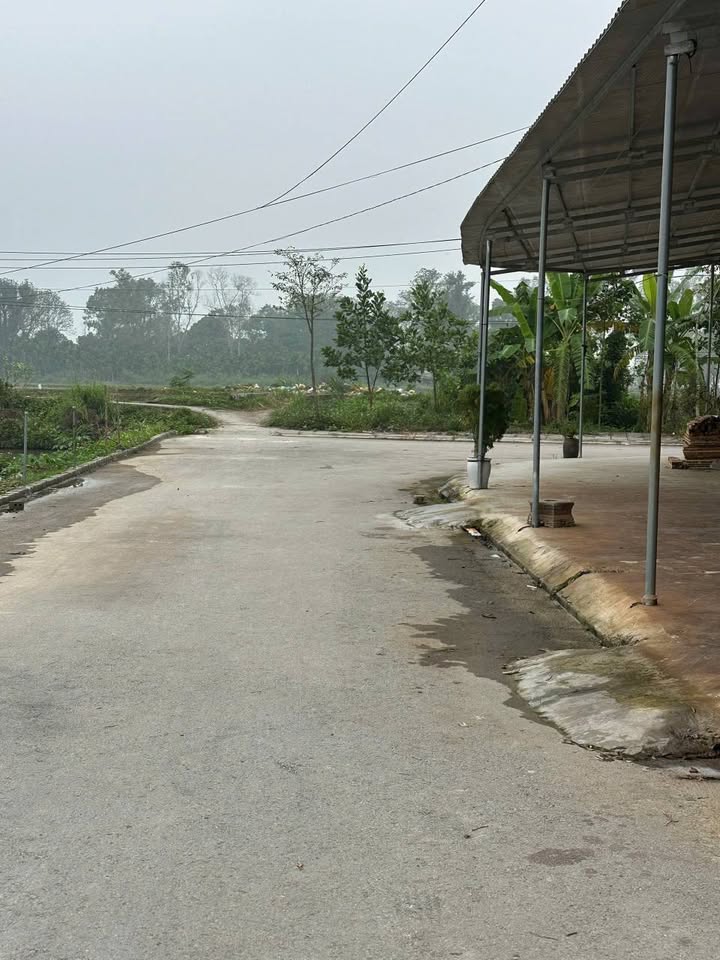 Bán đất 116.7m² Đông Thanh, Thanh Hóa - Sổ đỏ sẵn sàng giao dịch