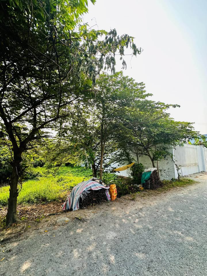 Đất nền Phước Hậu Vĩnh Long 254m² giá 3.05 tỷ - Sổ đỏ chính chủ!