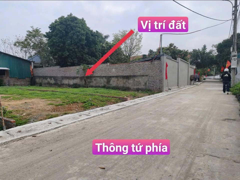 Đất nền Tam Dương 110m² giá 1.3 tỷ - Sổ đỏ chính chủ