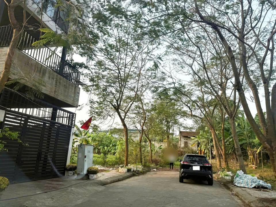 Đất nền Khu D Nam Đầm Vạc, Vĩnh Yên 104m² - Tiềm năng tăng giá vượt trội!