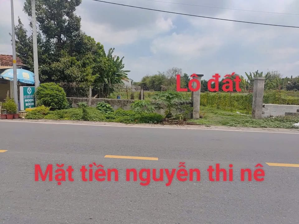 Đất Nền Mặt Tiền Nguyễn Thị Nê, Củ Chi - 980m² Thổ Cư, Giá 8.5 Tỷ
